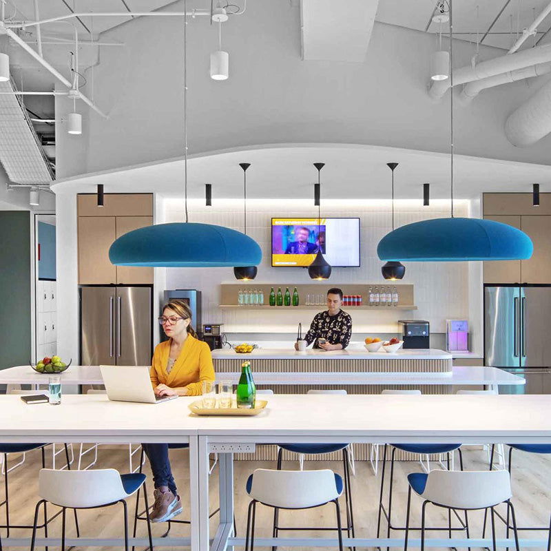 BuzziSpace BuzziDome Acoustic Pendant Light - Muffle USA LLC